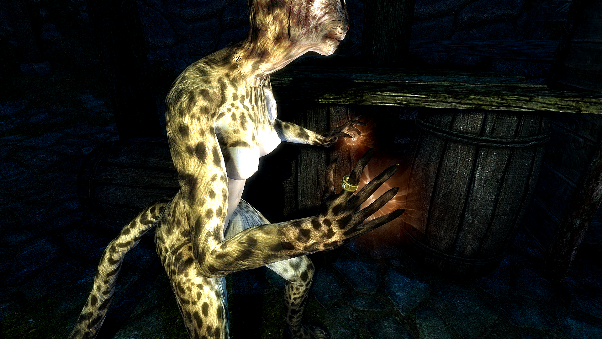 Khajiit does not play these games